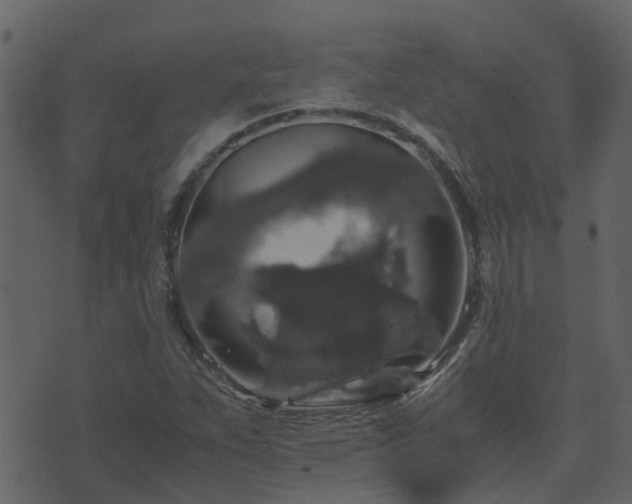 X0000071781263200606301211