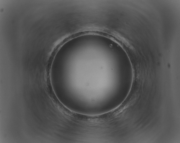 X0000071781264200606301211