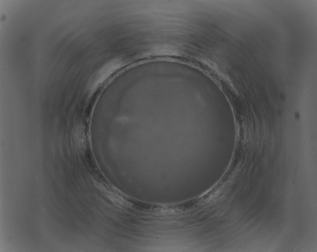 X0000071781266200606301211