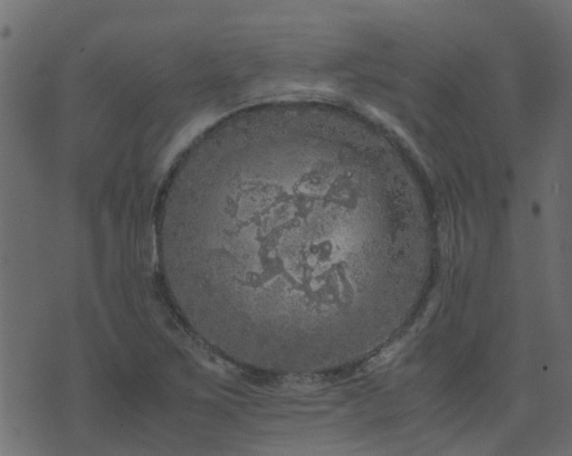 X0000071781267200606301211