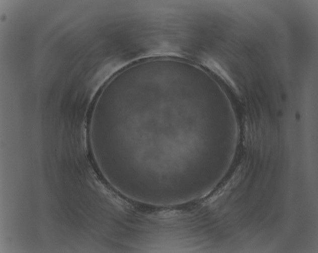 X0000071781268200606301211