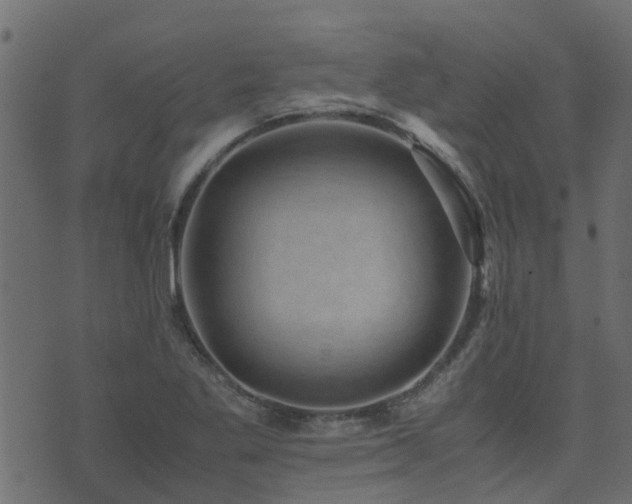 X0000071781269200606301211