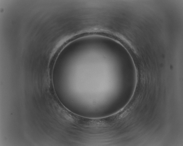 X0000071781270200606301211