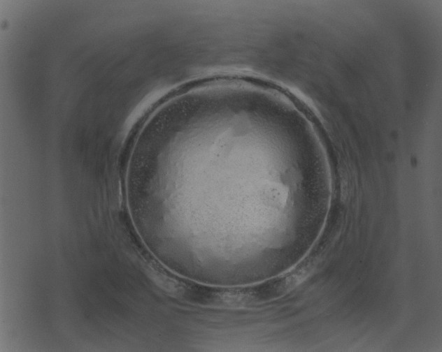 X0000071781271200606301211