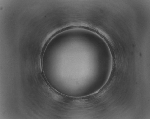 X0000071781272200606301211