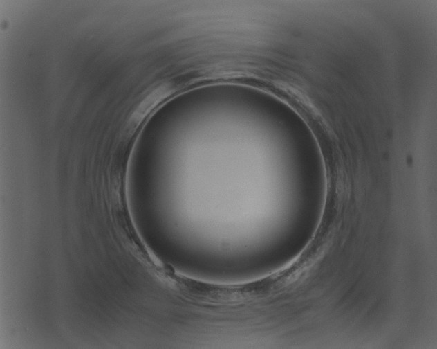 X0000071781273200606301211