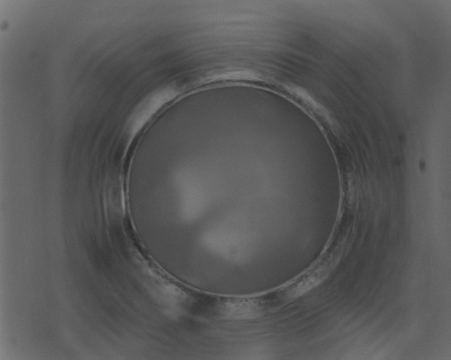 X0000071781274200606301211