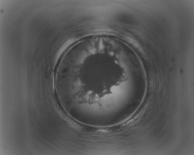 X0000071781275200606301211