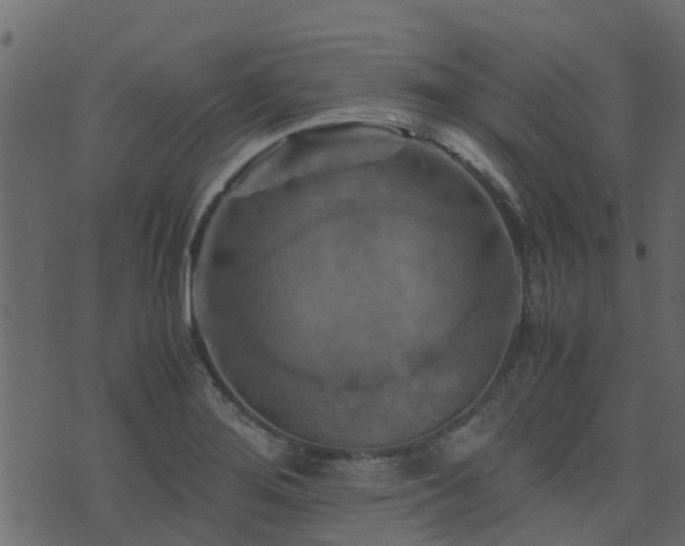 X0000071781276200606301211