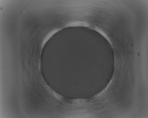 X0000071781277200606301211