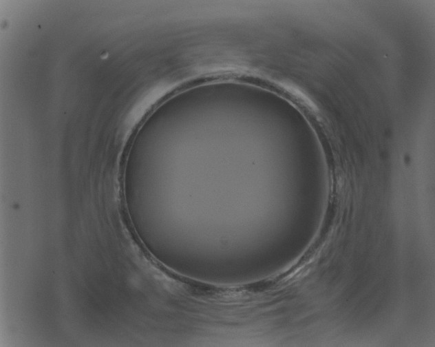 X0000071781279200606301211