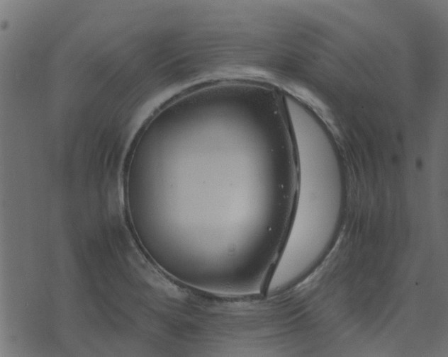 X0000071781280200606301211