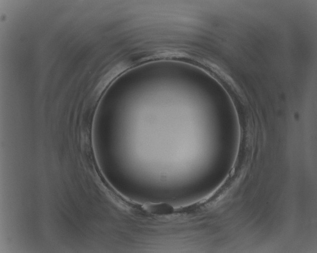 X0000071781281200606301211