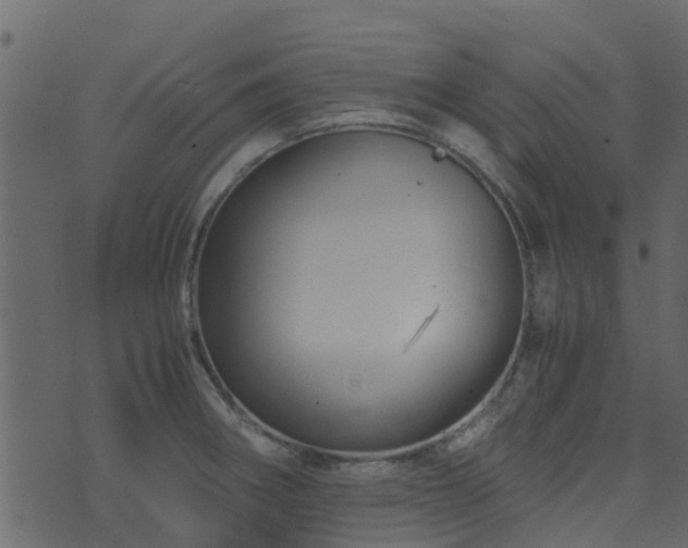 X0000071781282200606301211