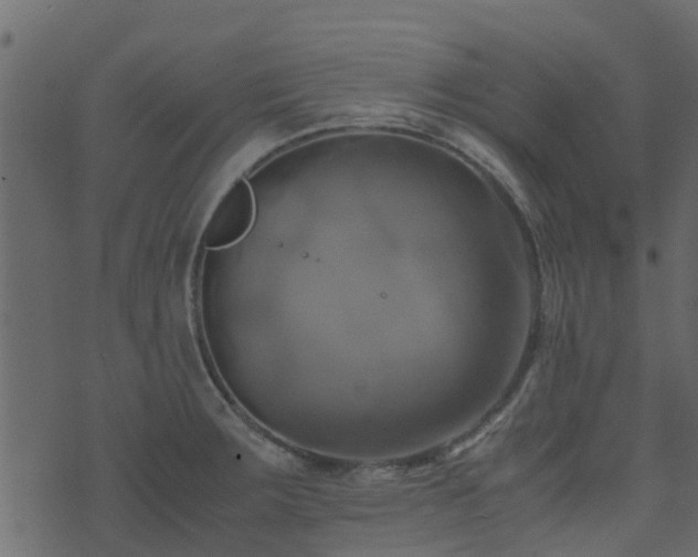 X0000071781283200606301211