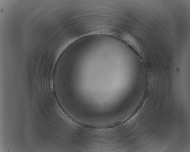 X0000071781284200606301211