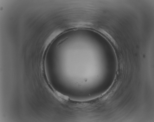 X0000071781285200606301211