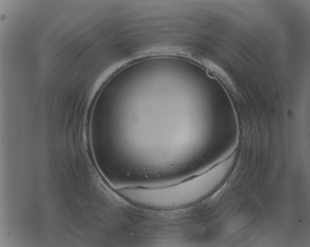 X0000071781288200606301211