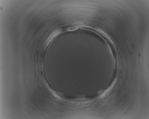 X0000071781289200606301211