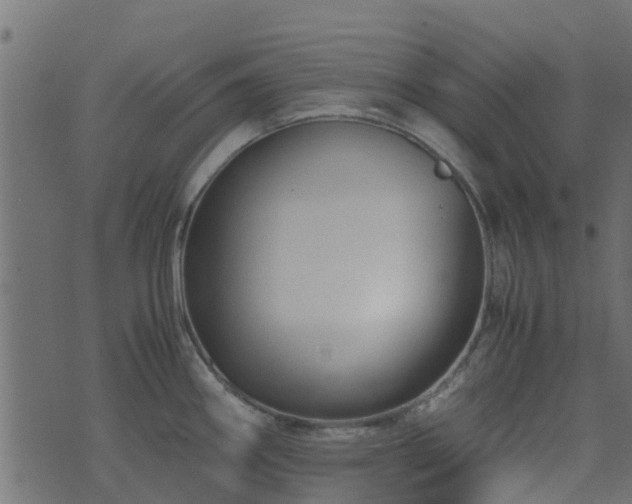 X0000071781290200606301211