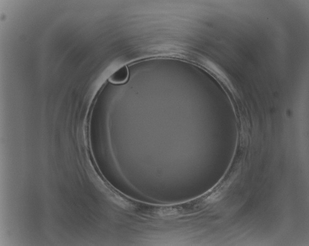 X0000071781291200606301211