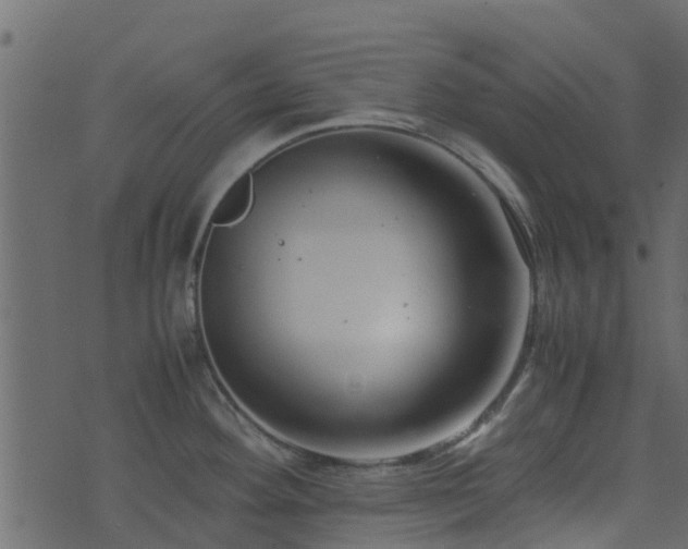 X0000071781292200606301211