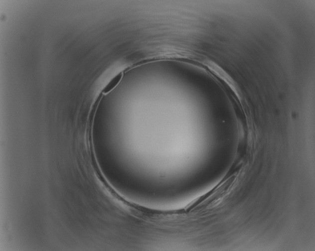 X0000071781293200606301211