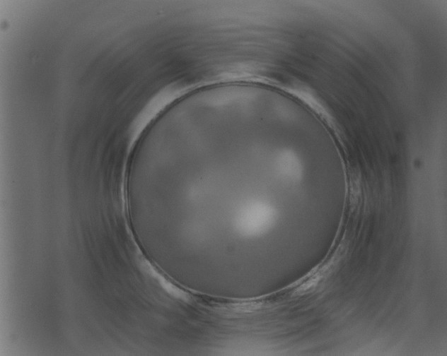 X0000071781294200606301211