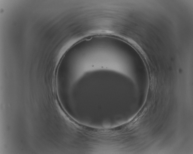 X0000071781295200606301211