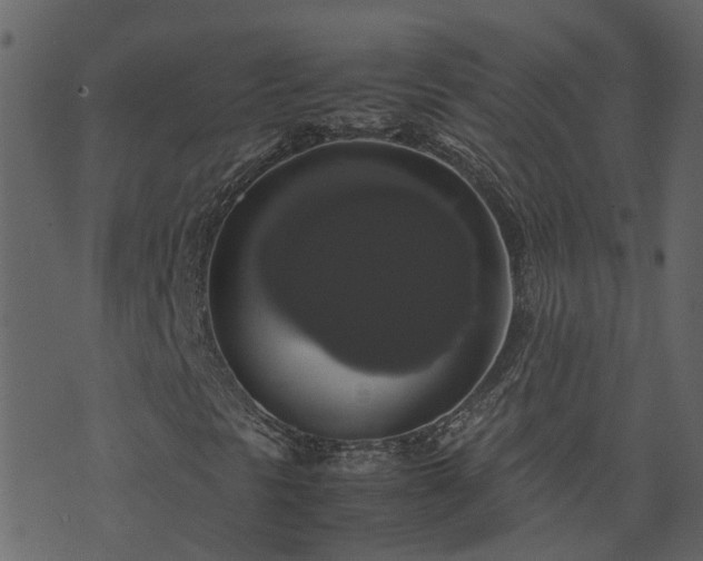 X0000071781297200606301210