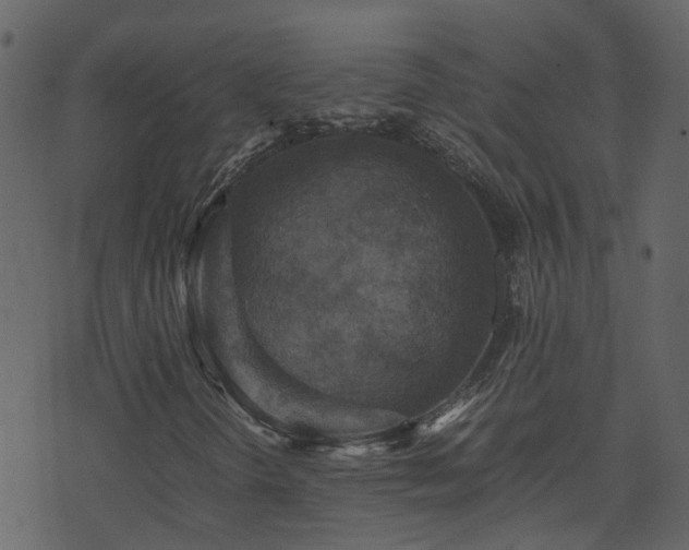 X0000071781298200606301210