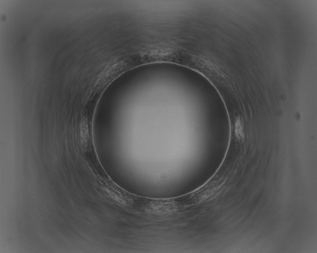 X0000071781299200606301210