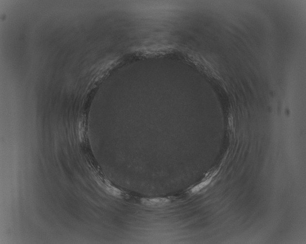 X0000071781300200606301210