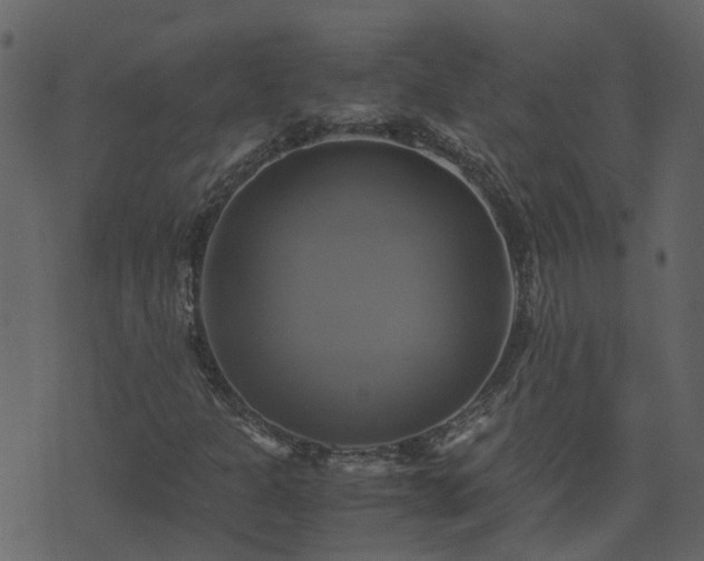 X0000071781301200606301210