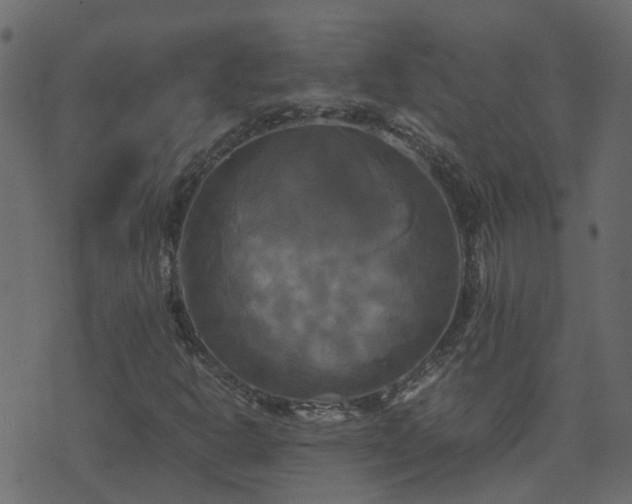 X0000071781302200606301210