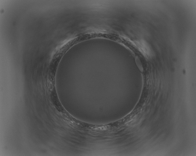 X0000071781303200606301210