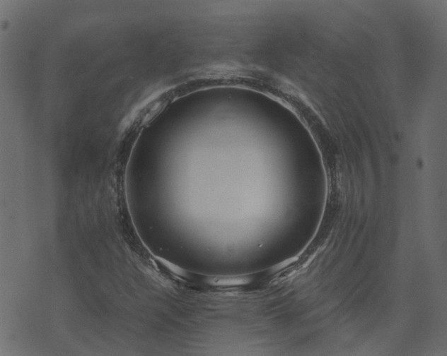 X0000071781304200606301210