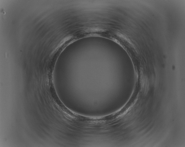 X0000071781305200606301210