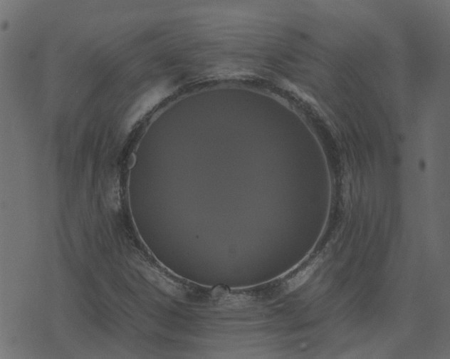 X0000071781306200606301210