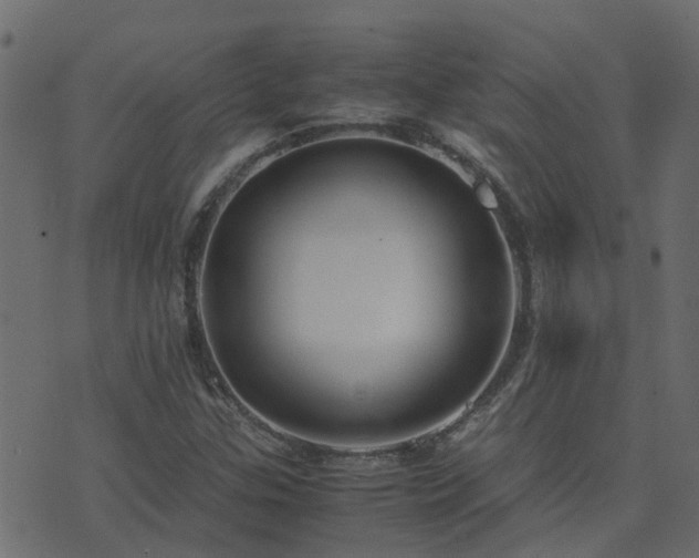 X0000071781307200606301210