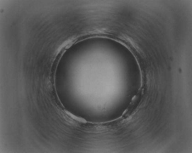 X0000071781308200606301210