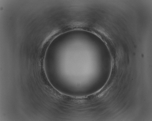 X0000071781309200606301210