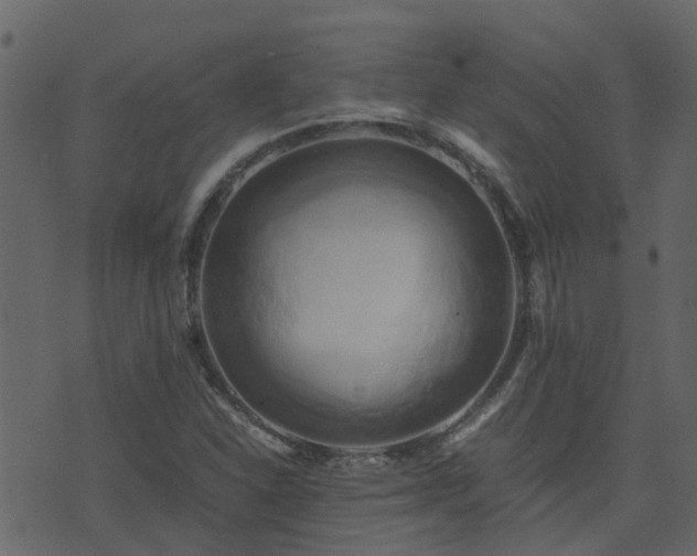 X0000071781310200606301210