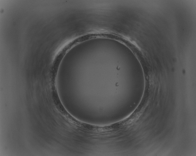 X0000071781311200606301210