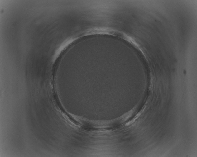 X0000071781312200606301210