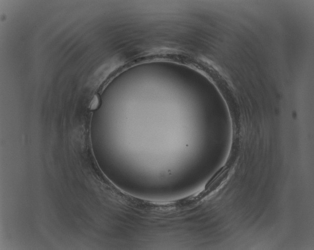 X0000071781313200606301210