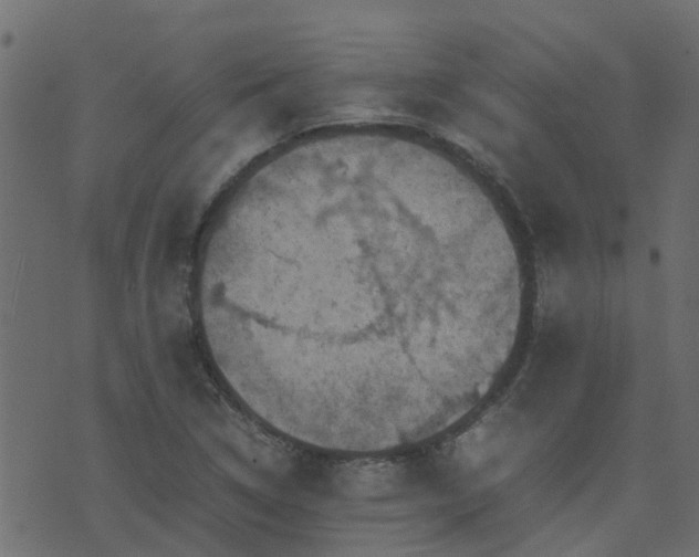 X0000071781314200606301210