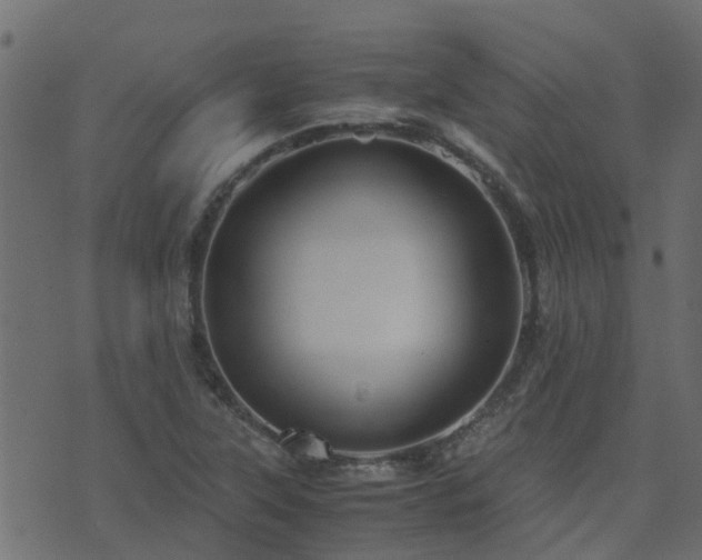 X0000071781315200606301210