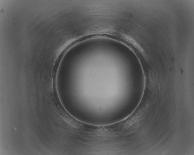 X0000071781316200606301210