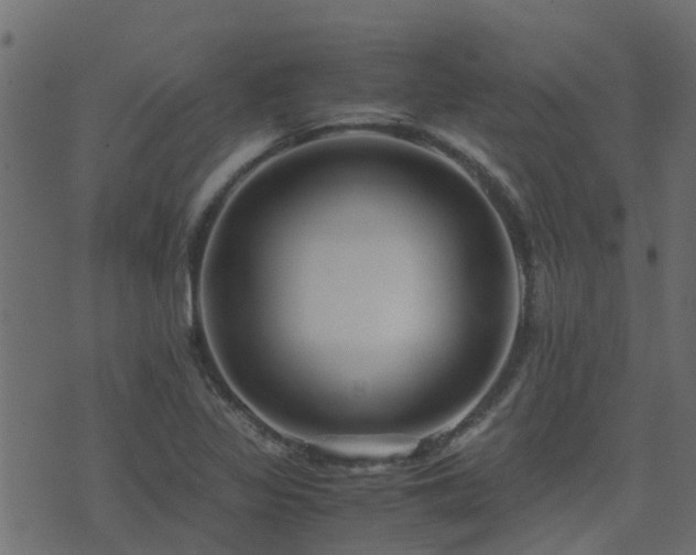 X0000071781317200606301210